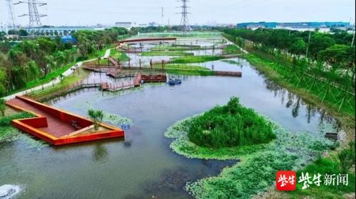 2100萬(wàn)省級(jí)獎(jiǎng)勵(lì)！蘇州這片區(qū)域生態(tài)環(huán)境建設(shè)喜獲肯定，水污染治理成效顯著