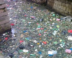 浙江環(huán)保成績(jī)單 2014年水污染治理的實(shí)踐與成效——從消滅6000里垃圾河看環(huán)保技術(shù)開發(fā)服務(wù)的推動(dòng)