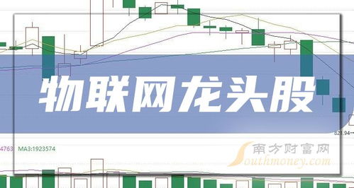 物聯(lián)網(wǎng)龍頭股與信息系統(tǒng)運行維護服務(wù) 創(chuàng)新與韌性的雙重奏